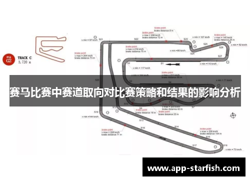 赛马比赛中赛道取向对比赛策略和结果的影响分析